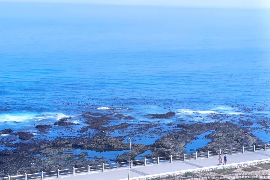 0 Bedroom Property for Sale in Mouille Point Western Cape